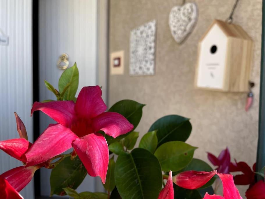 Annali Casa Vacanze - Shabby Style Nella Natura لا سبيتسْيا المظهر الخارجي الصورة