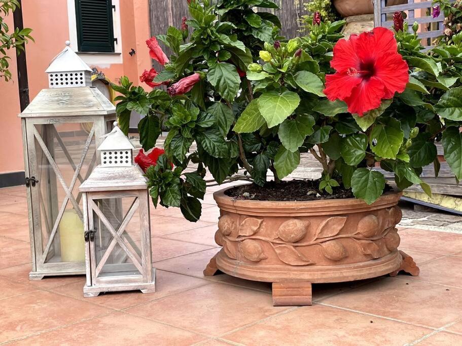 Annali Casa Vacanze - Shabby Style Nella Natura لا سبيتسْيا المظهر الخارجي الصورة
